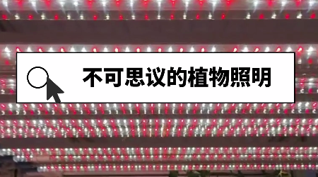 B体育光电